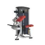 Arm Curl - IT9503