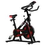 Spinning Bike - Frecor - 9300